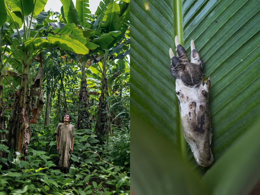 78ĺҮũѰѳ졢ժʳռķ֮һũأλ峤ߺӷգҮڲάǵѷ