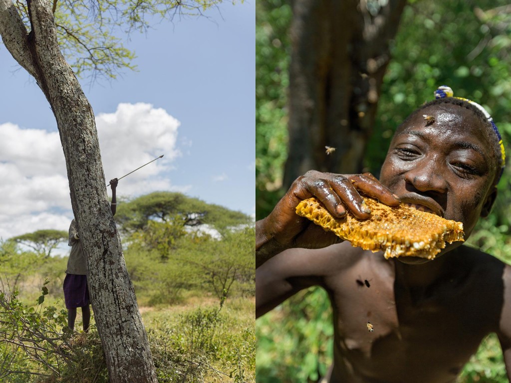 ȥ50洫ش౻˺ũռˣ˵ڻҰũῳ۷uΧ顣̹ǹ˲ɻȱһԴ