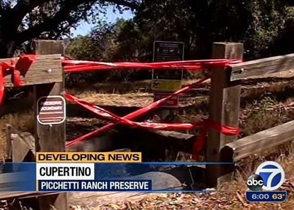 美国加州6岁男童被一只美洲狮袭击