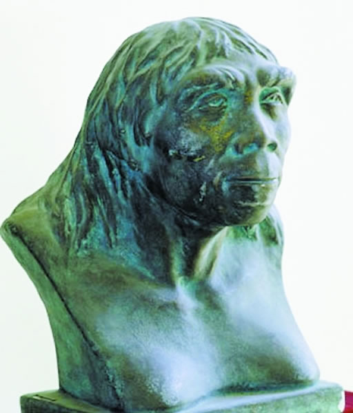 “北京人”或许不是我们的祖先