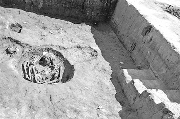 ���챴����ַ����֫��ʽ��Ĺ��