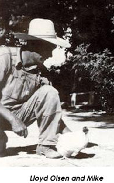 ����һֻ��ն��ͷ������Ȼ������18���µĹ�����