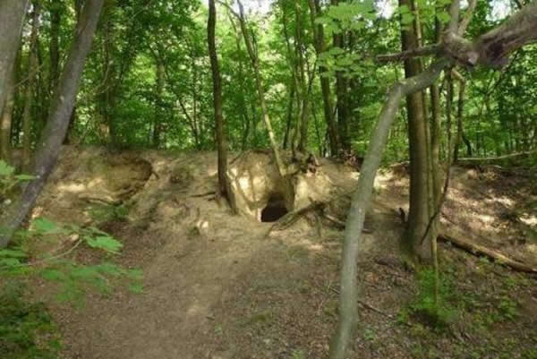 ŷ�޵ص�С���˷Ǵ�˵ ���ֵ�����ǧ������