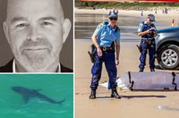 Ӣ��������Ӿʱ��������Ϯ������