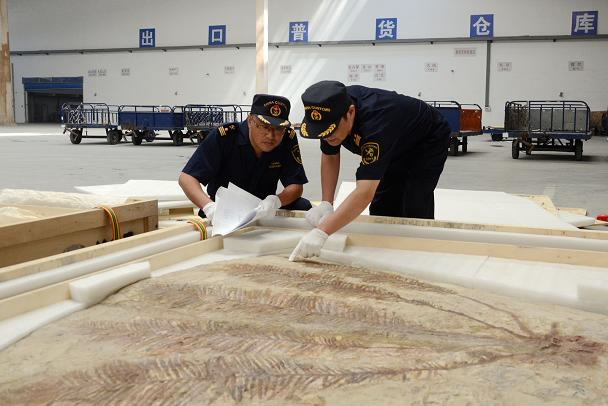 �������ع�Ա���������չ�Ĺ����ﻯʯ