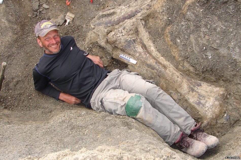 Dreadnoughtus提供了一个前所未有的机遇——研究泰坦巨龙类的生物力学和演化过程。