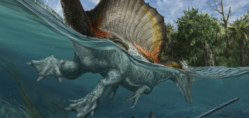 ���о�֤ʵ�����󲿷�ʱ����ˮ������