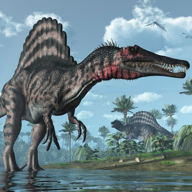 ��������ˮ½�����Բ�����