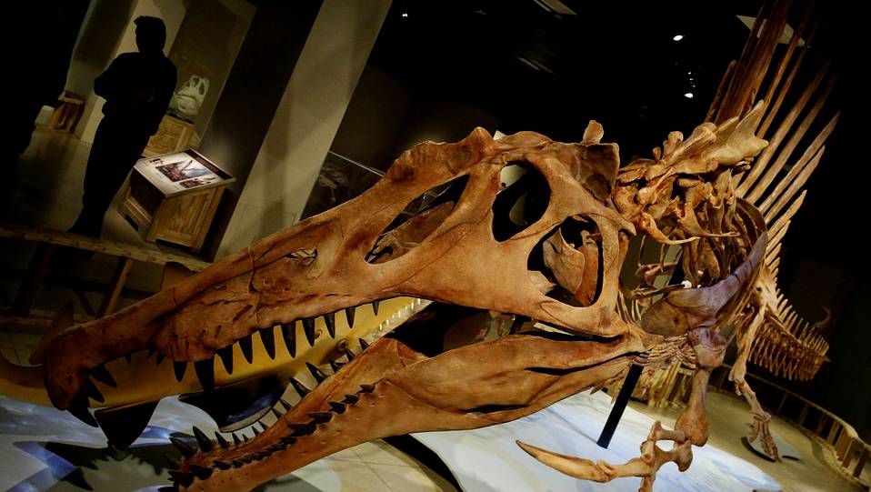 ��������ˮ½�����Բ�����