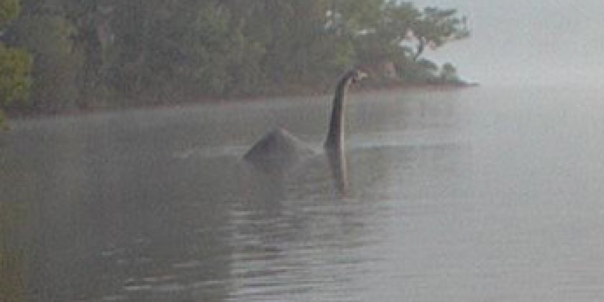 英格兰的温德米尔湖拍到水怪的照片