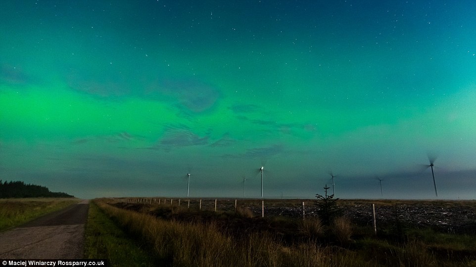 ��Ӱʦ��Ӣ���ո�������ľ���������