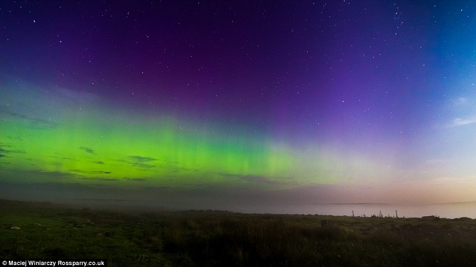 ��Ӱʦ��Ӣ���ո�������ľ���������