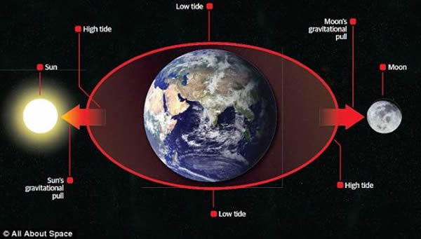 ����Ĵ��ڿ��ܰ����ٳ��˵��������������ĳ��֣�������Ϊ��������������ȶ��˵������ת����ǣ�ά����������ȶ����������˵������еĳ�ϫ�˶������ߵ�С������������