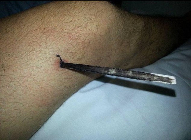 ��̴��м���ɭ������