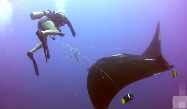 ��˹����Ӿ���ħ���㱻�����߲�ס ǱˮԱ����