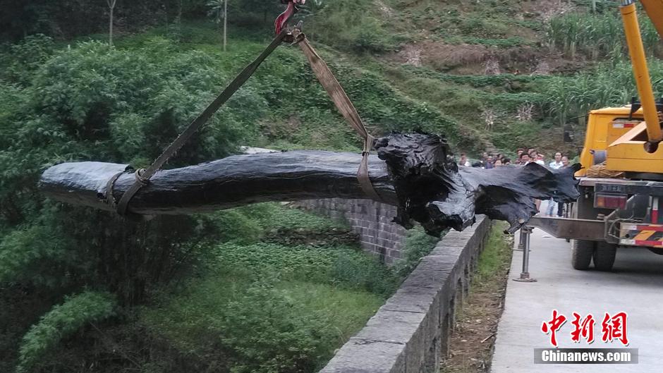 �Ĵ������ش����ں��д��Գ�ǧ����ľ ������������6000Ԫ