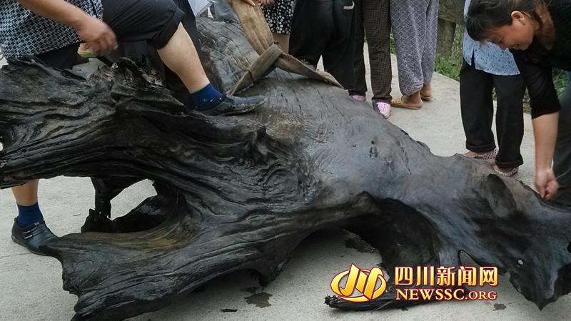 �Ĵ������ش����ں��д��Գ�ǧ����ľ ������������6000Ԫ