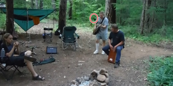 ˹��(��)����;�У��ɼ�һֻ����(��Ȧ)������ȥ��