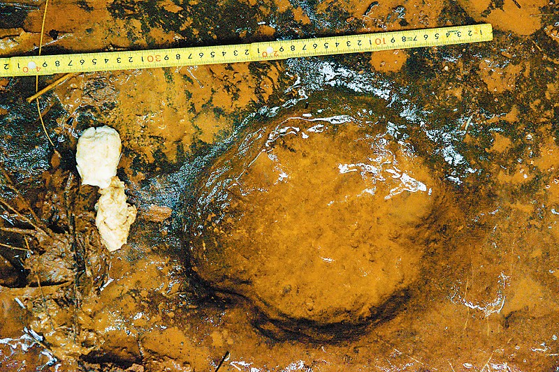 ���������㼣