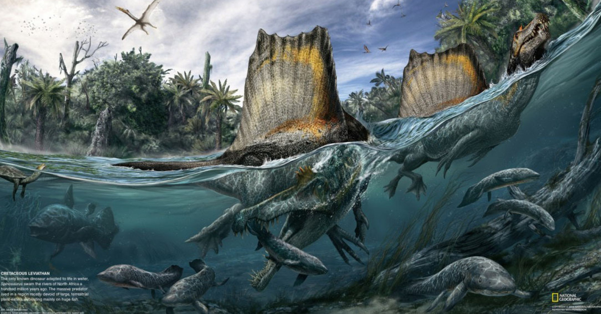 Ħ羳ڵɳĮֵһֻ֪ӾĿSpinosaurus aegyptiacus