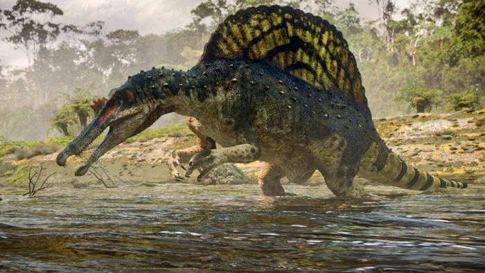 Ħ羳ڵɳĮֵһֻ֪ӾĿSpinosaurus aegyptiacus
