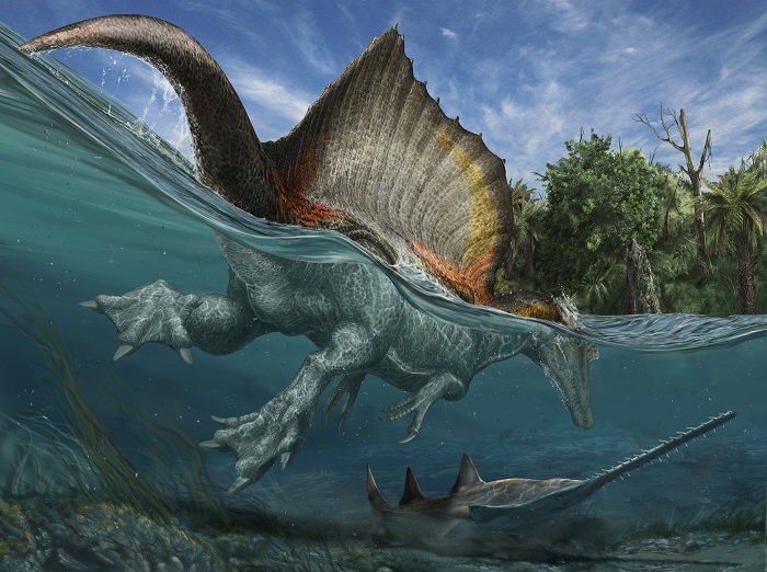 Ħ羳ڵɳĮֵһֻ֪ӾĿSpinosaurus aegyptiacus