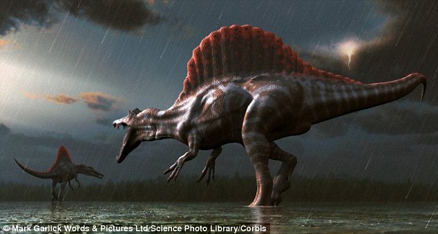 Ħ羳ڵɳĮֵһֻ֪ӾĿSpinosaurus aegyptiacus