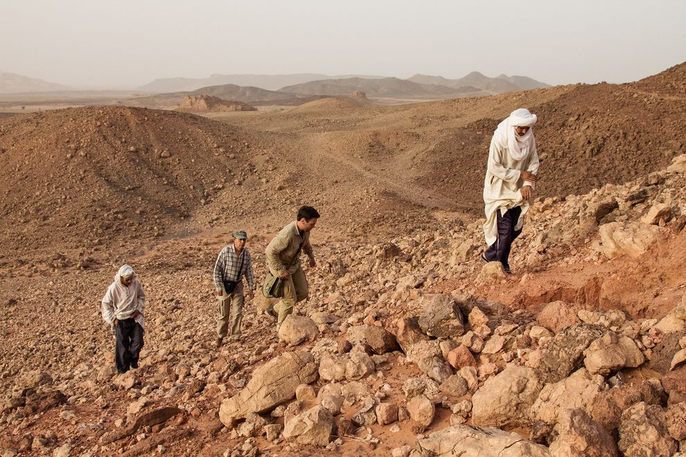 ҵѧ2014̽・ϣķҶŶӳԱĦĻʯءӰKAT KEENE HOGUE