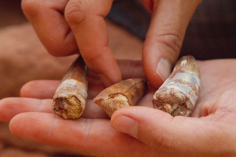 ϣķͼЩʯƴճڰѼòӰKAT KEENE HOGUE