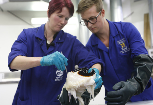 ¿ѧԺѧҿ-˹(Kat Bolstad)ѧ--˹(Aaron Boyd Evans)нʣͼ