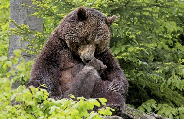 ĸ����ÿ�ն���һ����ˣ