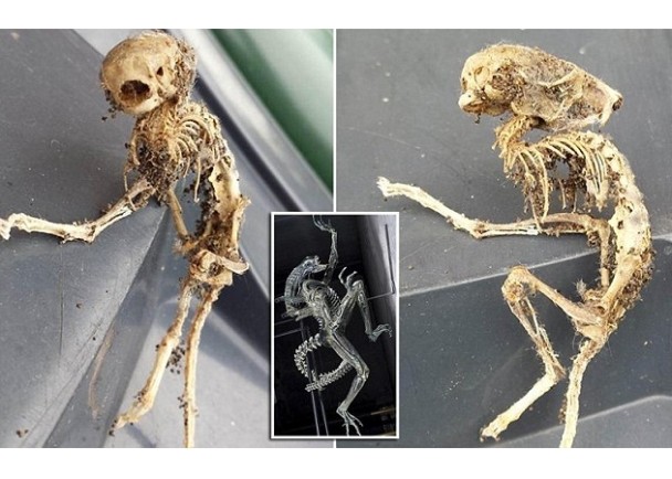 Ӣ�������Ŀ����Ӵ򿪳��񾪼������Ρ�����