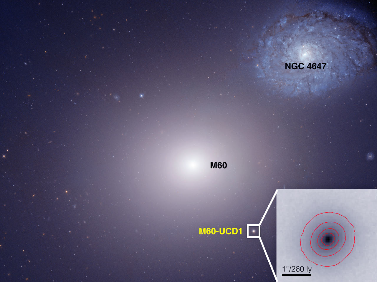 天文学家用哈勃太空望远镜发现矮星系M60-UCD1中心地带的巨大黑洞