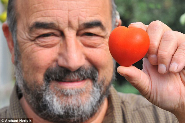 Ӣ�������Ϻ���԰��������������