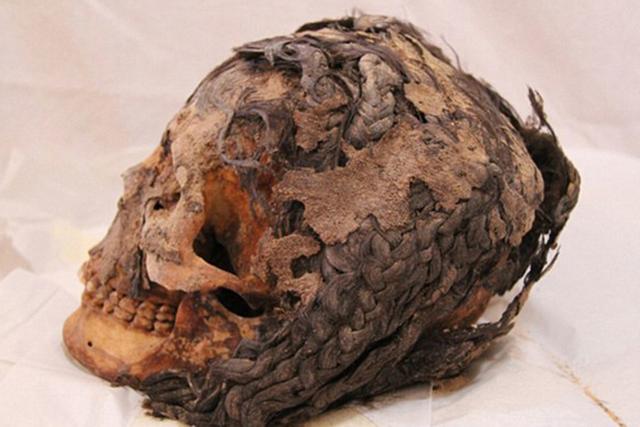 ѧһ߾3000ͷϷ־Ĵõͷ