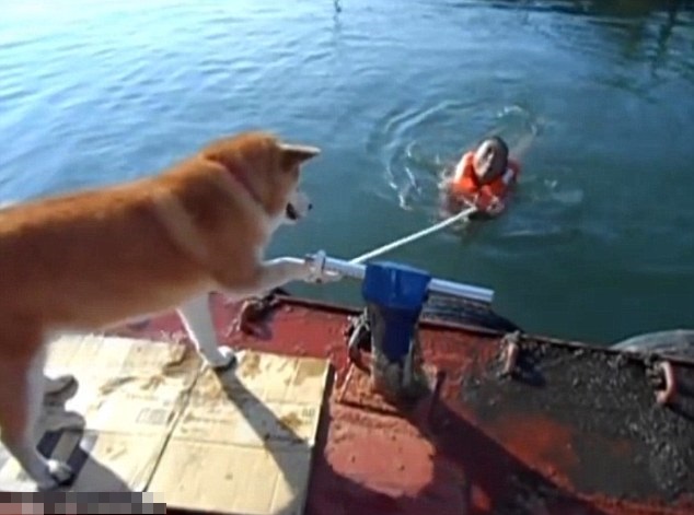 男子似是遇溺,麻利不但不施援手,反将绳索推落水。