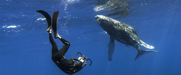 �����ѧ��ͨ������е����Ǳˮ��ʽ����ͷ����Ĩ�㾨������Ӵ�