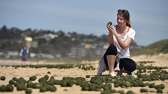 ����Ϥ��ϻ�ɳ̲һҹ֮�������ǧ������