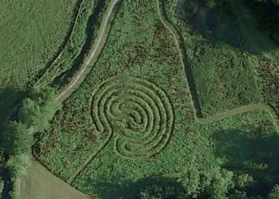 Ӣ����ʷѧ����Ұ�������ⷢ�ֲ���������Ȧ