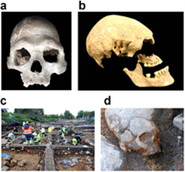 ŷ˵Ѫͳ׷3߶ȷֻ˴˲ͬԶȺ