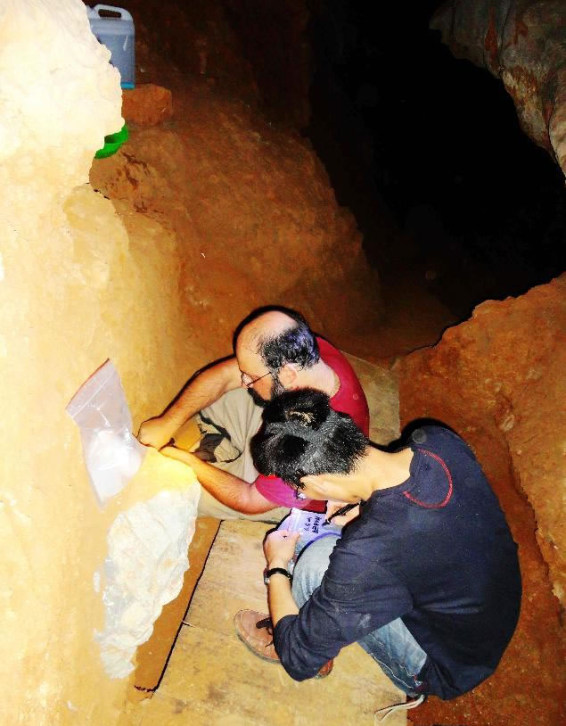 中外考古学家在么会洞开展科研工作