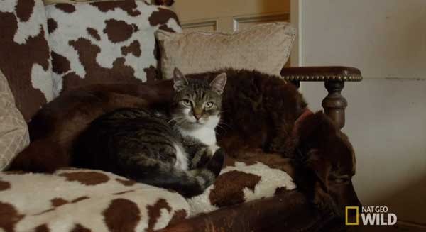 è��Pudditat��������äȮ�������������ҵ�һ���ҡ�