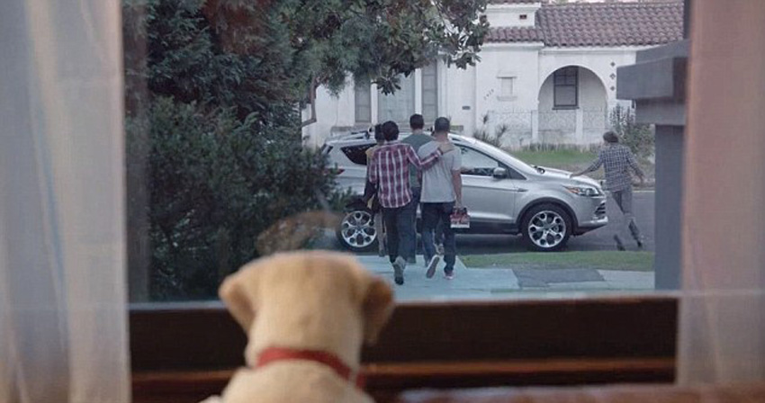 ����������һ��ơ�ƺ����ѳ����ţ�����ע��������ȥ�ı�Ӱ��