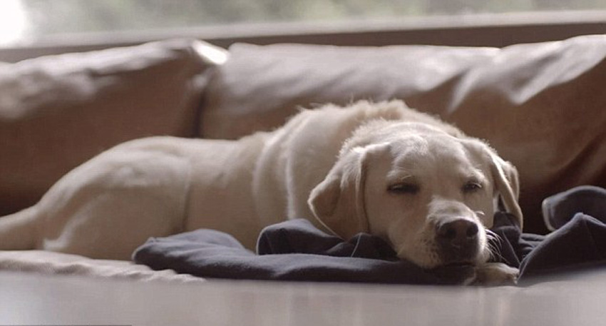 ����һֱ�ȵ���ҹ���������˻ؼҡ�