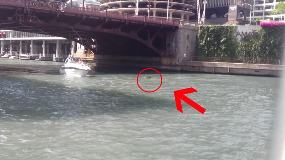 ����֥�Ӹ�ӳ������ض������ƺ���