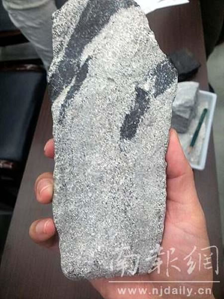 6亿年前的胚胎是谁的?南京专家:老祖宗或远古藻类