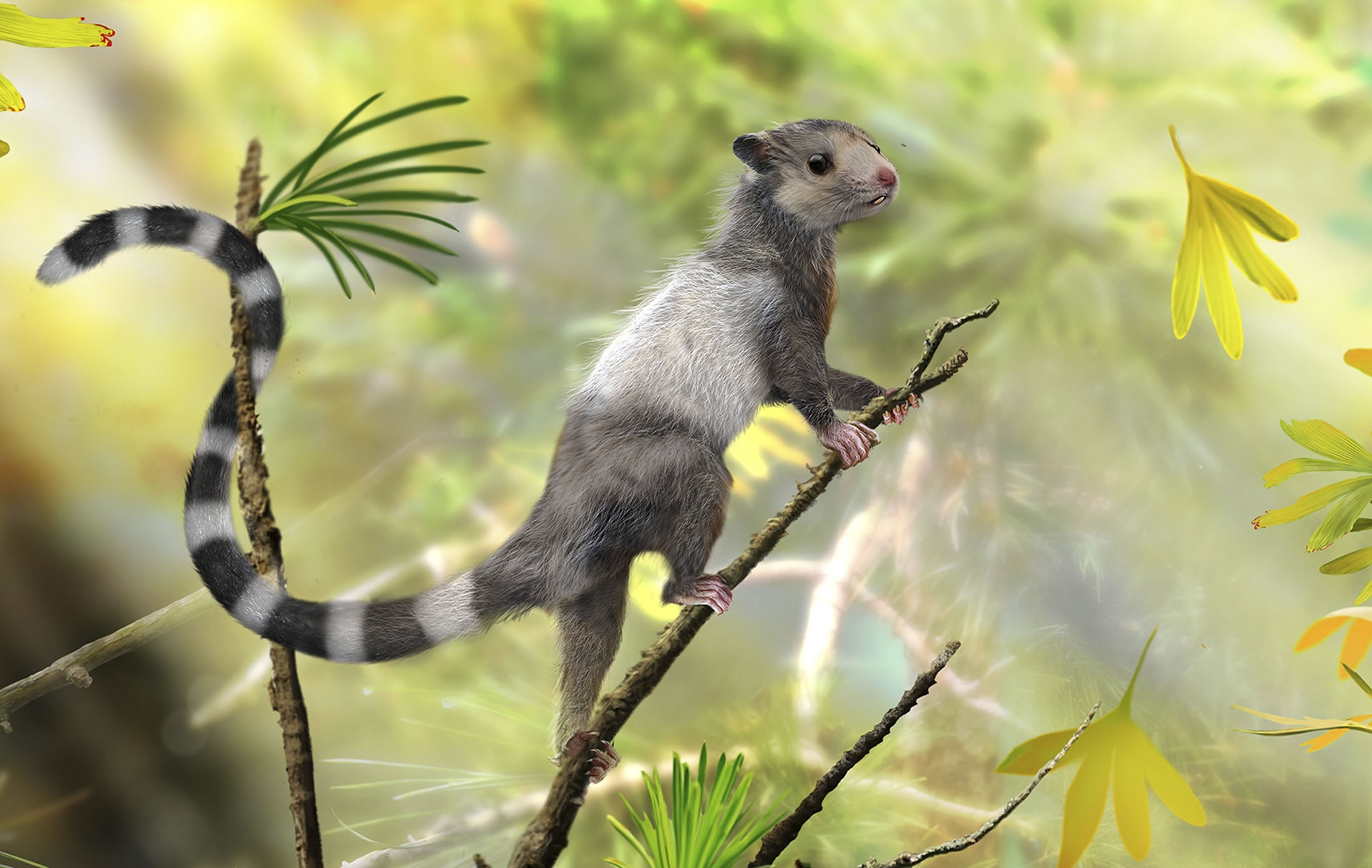 ½ʡֵ3ִС൱СͶﻯʯʾ鶯ڴԼ2ǰѾڵϡһŻʯԭͼչʾһֲ鶯ǰܵ