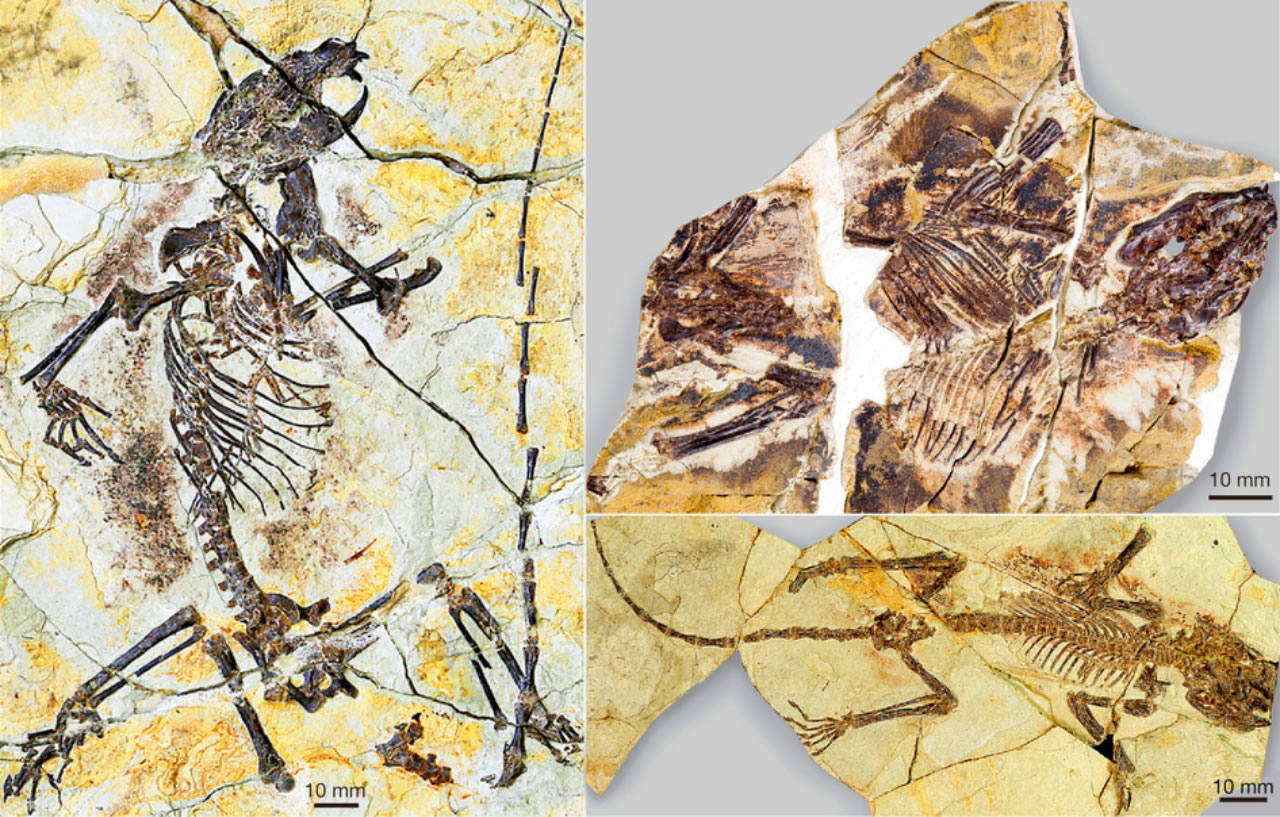 õĻʯһѾޡǰѧǶ˽ͣǺݡͼչʾǴ˴һ֣½ޣ޷֧