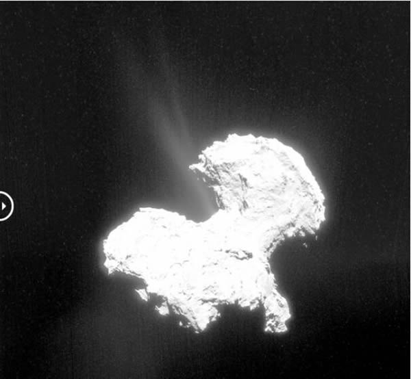 ���Ǿ�������ѧ�ᰬ����Ůʿ�������������ͼ�񣬾������ȶԱȶ���ǿ����֮�󣬿��Կ������ǵ���Χ�������Ե������ṹ��