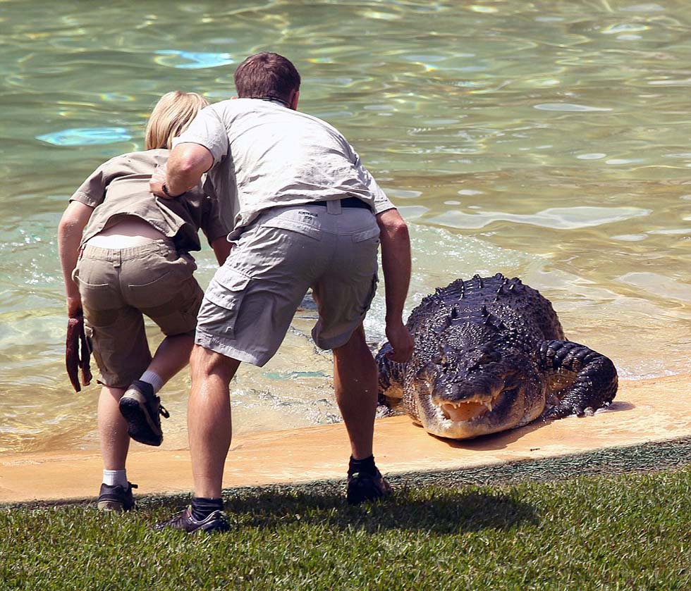 在罗伯特慢慢接近饥饿的鳄鱼时,欧文的好友、鳄鱼驯化师韦斯·曼宁(Wes Mannion)紧紧抓住罗伯特的衬衫。
